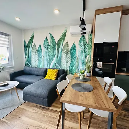 Appartement Debowa 10 *